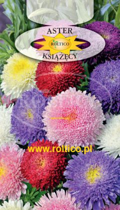 Aster książęcy – Mieszanka