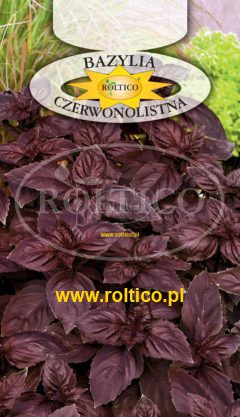 Bazylia czerwonolistna