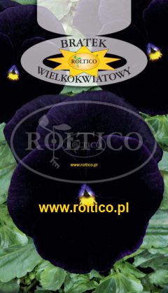 Bratek ogrodowy – Granat /Bergwacht/