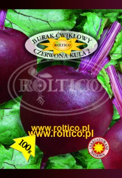 Burak ćwikłowy Czerwona Kula 2