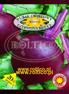Burak ćwikłowy Czerwona Kula 2