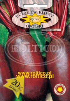 Burak ćwikłowy Opolski