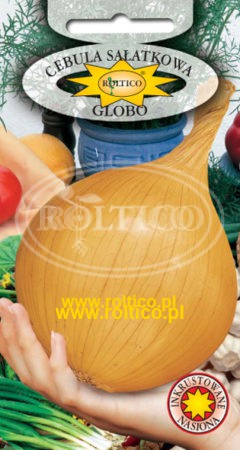 Cebula jadalna Globo
