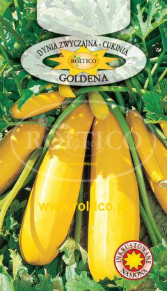 Dynia Zw. Cukinia Żółta Goldena