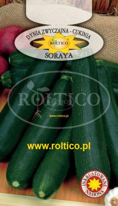Dynia Zw. Cukinia Soraya