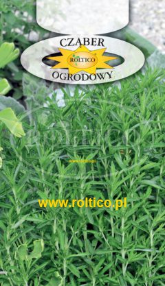 Cząber ogrodowy