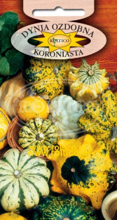 Dynia ozdobna – Koroniasta