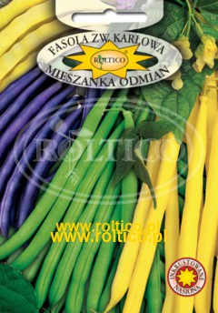 Fasola karłowa Mieszanka Odmian