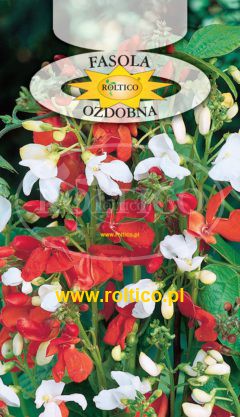 Fasola ozdobna – Mieszanka