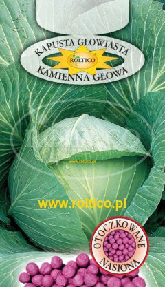 Kapusta głowiasta Kamienna Głowa