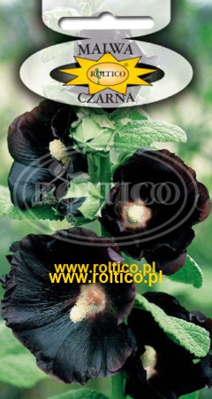 Malwa – Czarna
