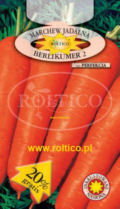 Marchew Berlikumer 2 – Perfekcja