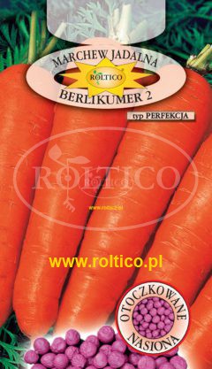 Marchew Berlikumer 2 – Perfekcja