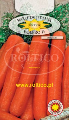 Marchew Bolero – mieszaniec F1