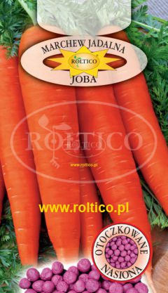 Marchew Joba