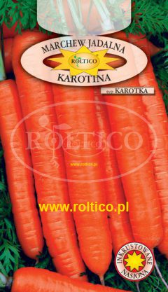 Marchew Karotina