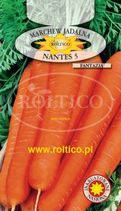 Marchew Nantes 5 – Fantazja