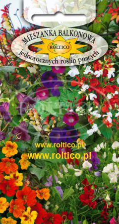 Mieszanka balkonowa jednorocznych roślin pnacych