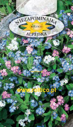 Niezapominajka alpejska – Mieszanka