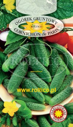 Ogórek gruntowy Cornichon de Paris