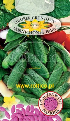 Ogórek gruntowy Cornichon de Paris