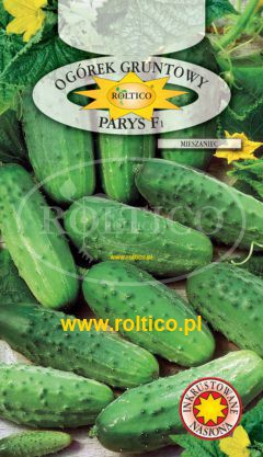Ogórek gruntowy Parys – mieszaniec F1