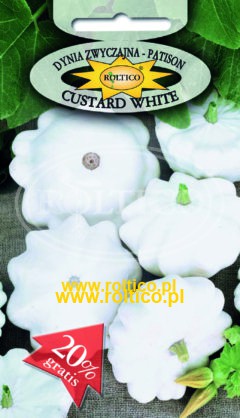 Dynia Zw. Patison biały Custard White