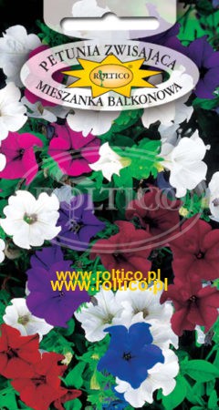 Petunia zwisająca balkonowa – Mieszanka