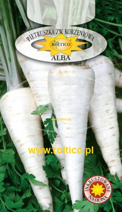 Pietruszka korzeniowa Alba