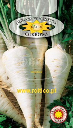 Pietruszka korzeniowa Cukrowa