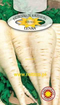 Pietruszka korzeniowa Lenka