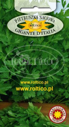 Pietruszka naciowa Gigante D’Italia