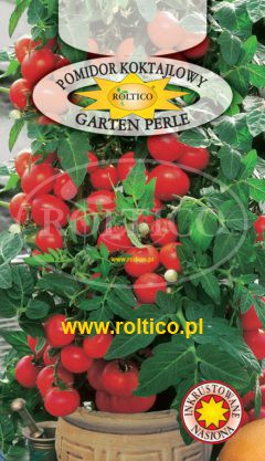 Pomidor koktajlowy (balkonowy) Garten Perle