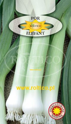 Por Elefant