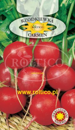 Rzodkiewka Carmen