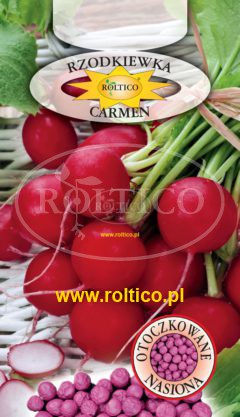 Rzodkiewka Carmen