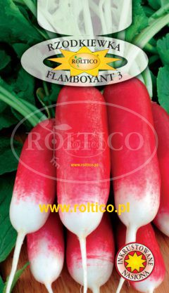 Rzodkiewka Flamboyant 3
