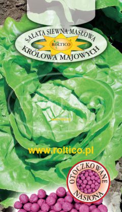 Sałata Królowa Majowych