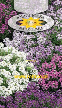Smagliczka nadmorska – Mieszanka