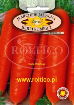 Marchew Berlikumer 2 – Perfekcja