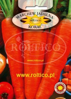 Marchew Koral
