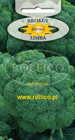 Brokuł Limba