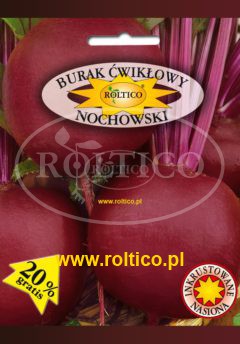 Burak ćwikłowy Nochowski