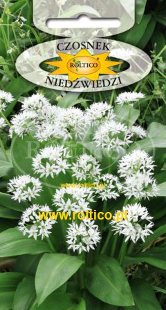 Czosnek Niedźwiedzi