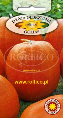 Dynia olbrzymia Golias