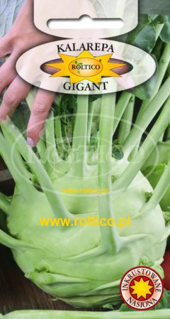 Kalarepa Gigant