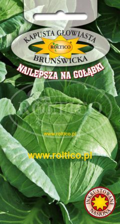 Kapusta głowiasta biała Brunświcka