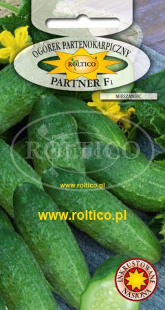 Ogórek partenokarpiczny Partner – mieszaniec F1