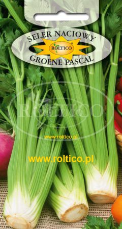 Seler naciowy Groene Pascal