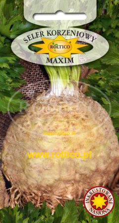 Seler korzeniowy Maxim